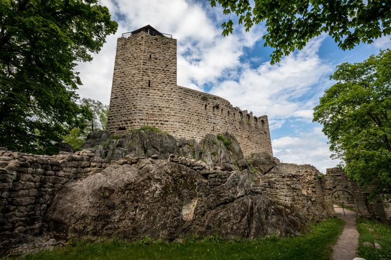 Ruines du château de Bernstein, Dambach-la-Ville
