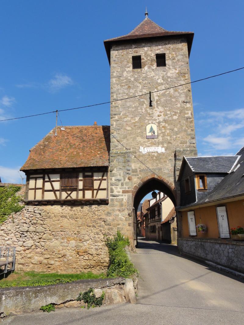 Vestiges des anciennes fortifications, Dambach-la-Ville