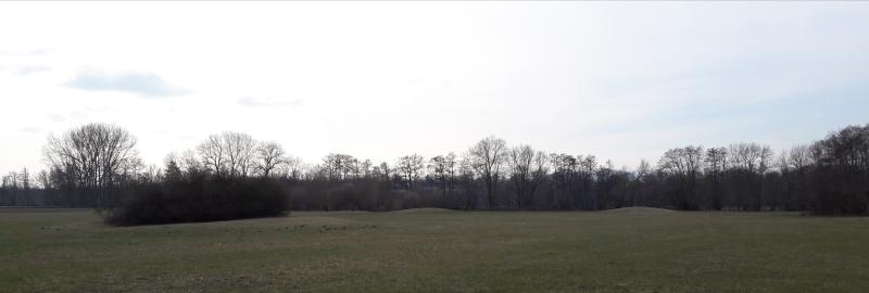 Nécropole de tumulus protohistorique, Mussig