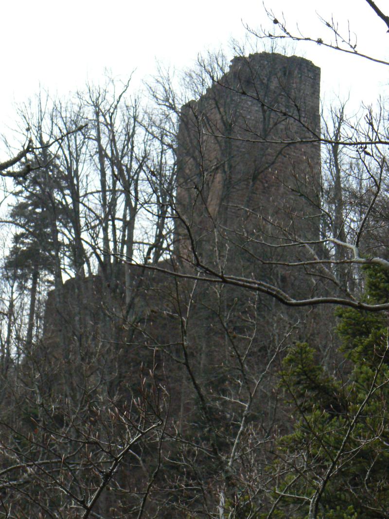 Ruines du château du Nideck