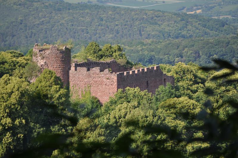 Ruines du château de Lutzelbourg, Ottrott