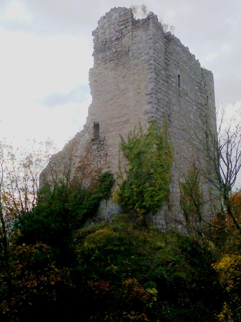 Ruines des châteaux de Ortenbourg et de Ramstein, Scherwiller