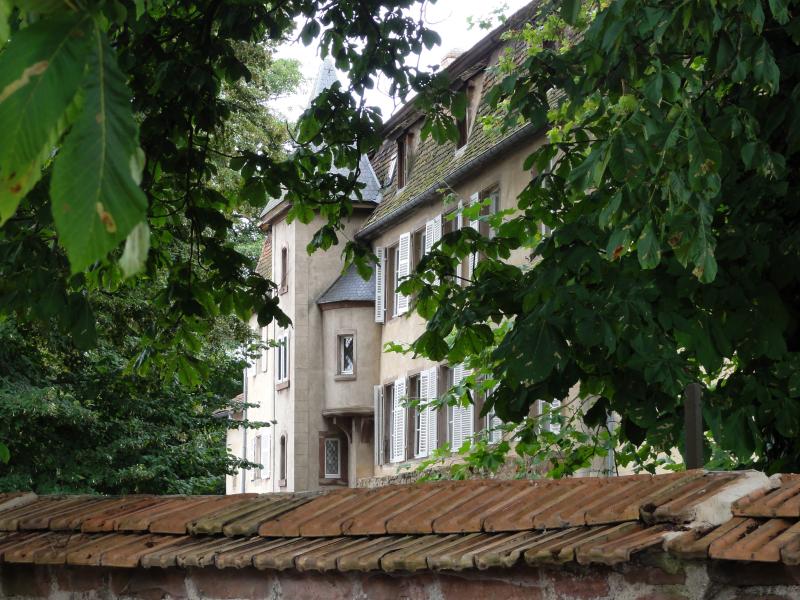 Château de Grünstein, Stotzheim