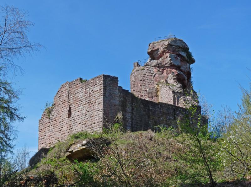 Château de Hohenbourg, Wingen
