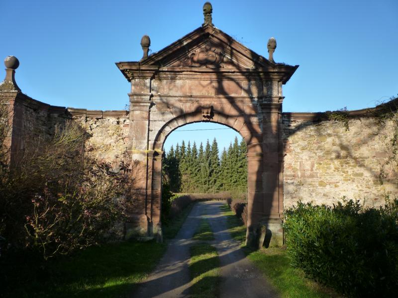 Vestiges du couvent cistercien de Neubourg, Dauendorf