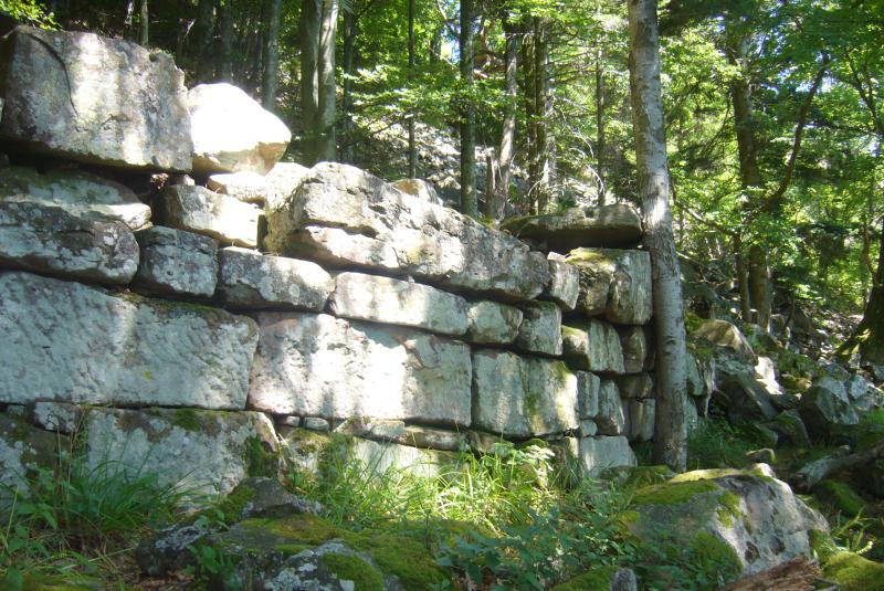 Enceinte protohistorique de la Frankenbourg, Neubois