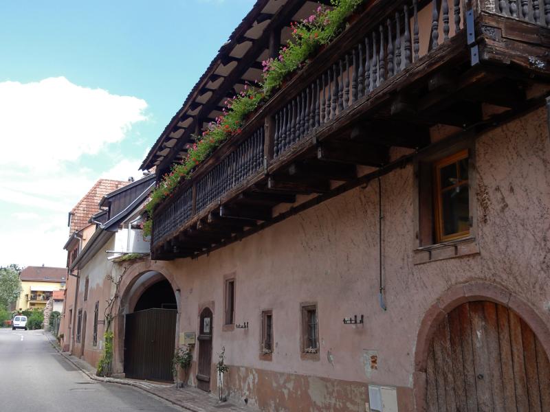 Maison