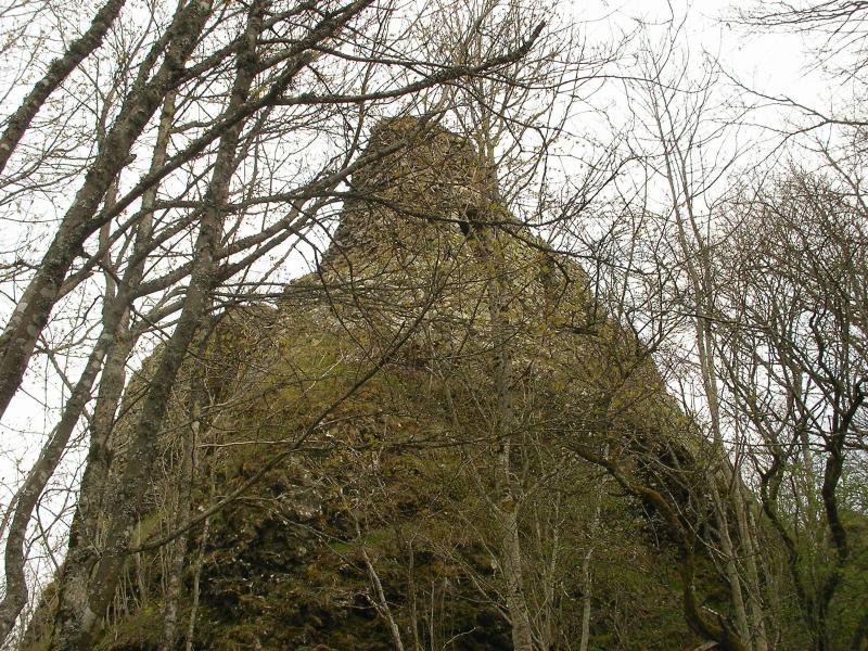 Ruines du château de Freundstein, Goldbach-Altenbach