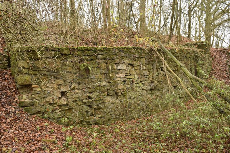 Vestiges du château de Butenheim, Petit-Landau