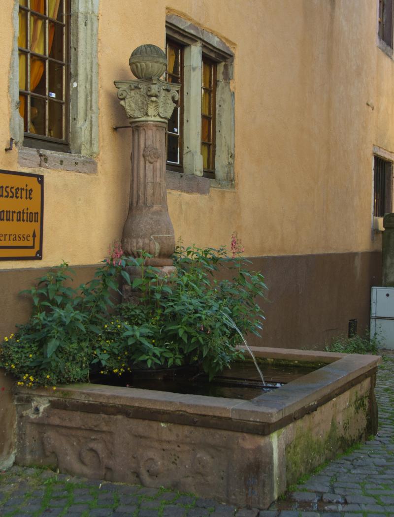 Fontaine dite du Cerf, adossée à l'immeuble, Ribeauvillé
