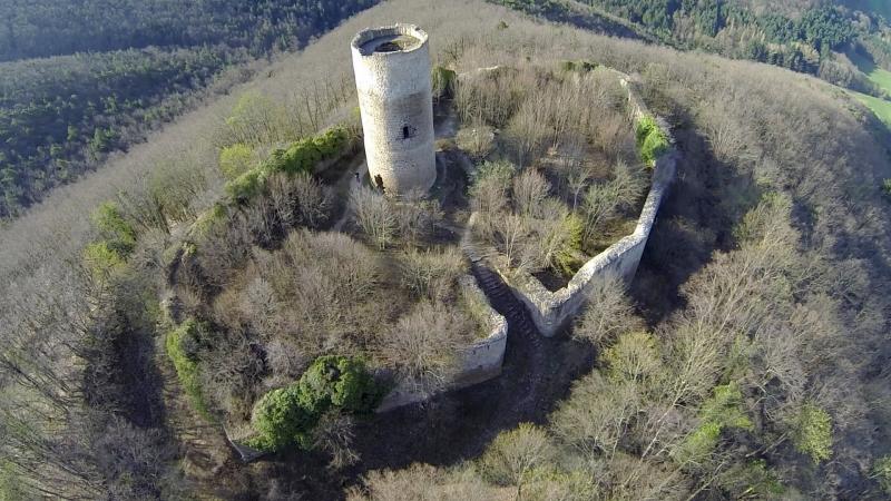 Ruines du château de Pflixbourg