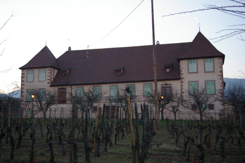 Ancienne cour domaniale de l'abbaye de Pairis, dite Domaine du Bouxhof, Mittelwihr