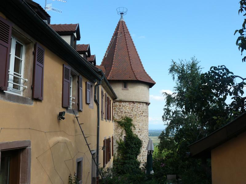 Vestiges de l'enceinte fortifiée urbaine, Zellenberg