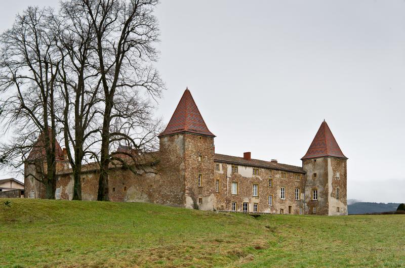 Domaine de Rochefort, Amplepuis