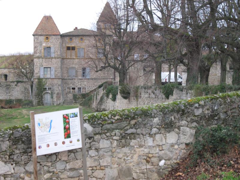 Château de Gallée, Millery