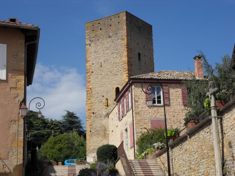 Château (ancien), Saint-Cyr-au-Mont-d'Or
