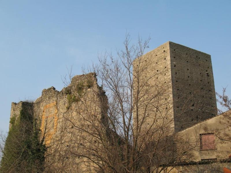 Château (ancien), Saint-Germain-au-Mont-d'Or