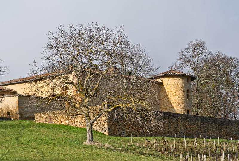 Manoir d'Epeisse, Cogny