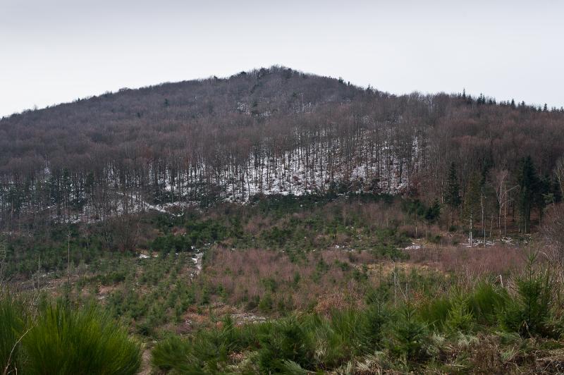 Oppidum du Châtelard, Courzieu