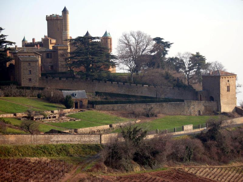 Château de Montmelas (également sur commune de Saint-Julien), Montmelas-Saint-Sorlin