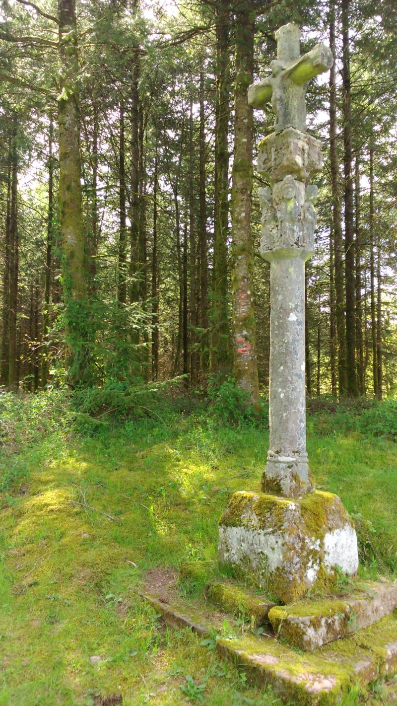 Croix monumentale du Mont-Dahin, Amont-et-Effreney