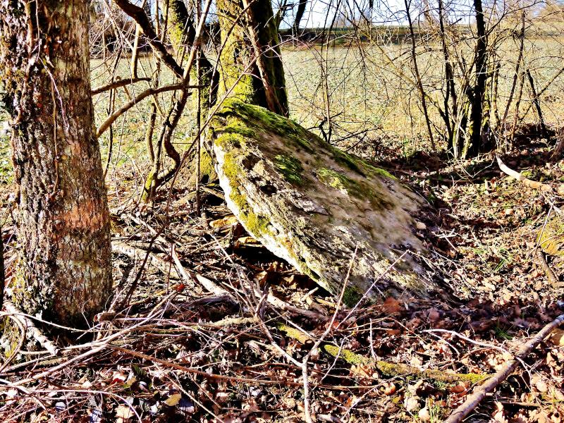 Dolmen dit La Grosse Pierre, Échenoz-le-Sec