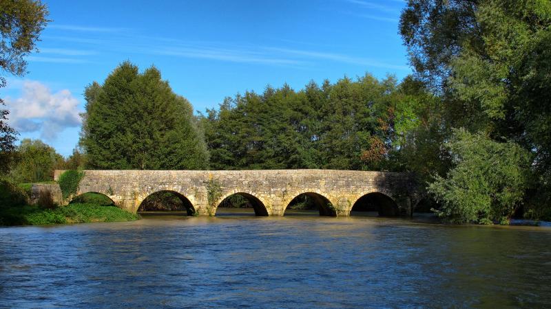 Pont sur le Salon, Montot