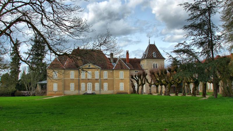 Château de Vregille, Vregille