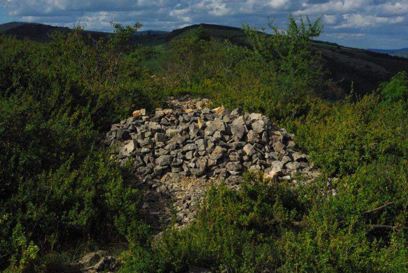 Camp retranché à éperon barré, Bussières