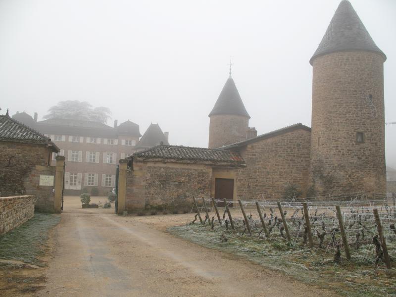 Château, Chasselas