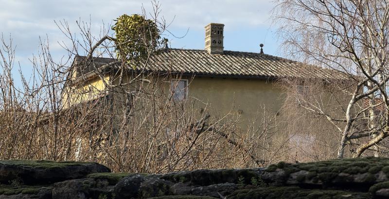 Maison Rubat