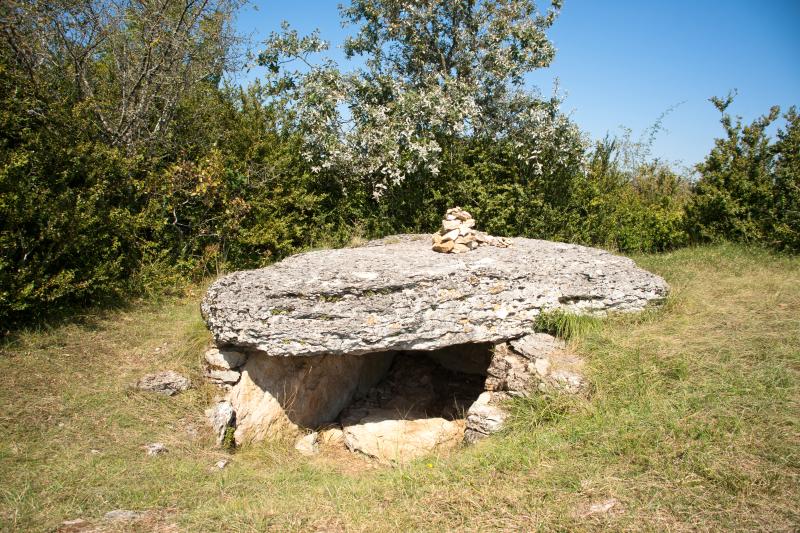 Deux tumuli-dolmens du Mont-de-Senne ou de Borgy, Dezize-lès-Maranges