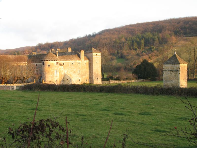 Château d'Ozenay, Ozenay