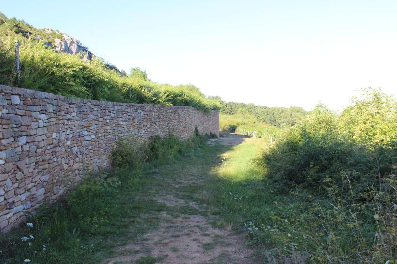 Gisement préhistorique, Solutré-Pouilly