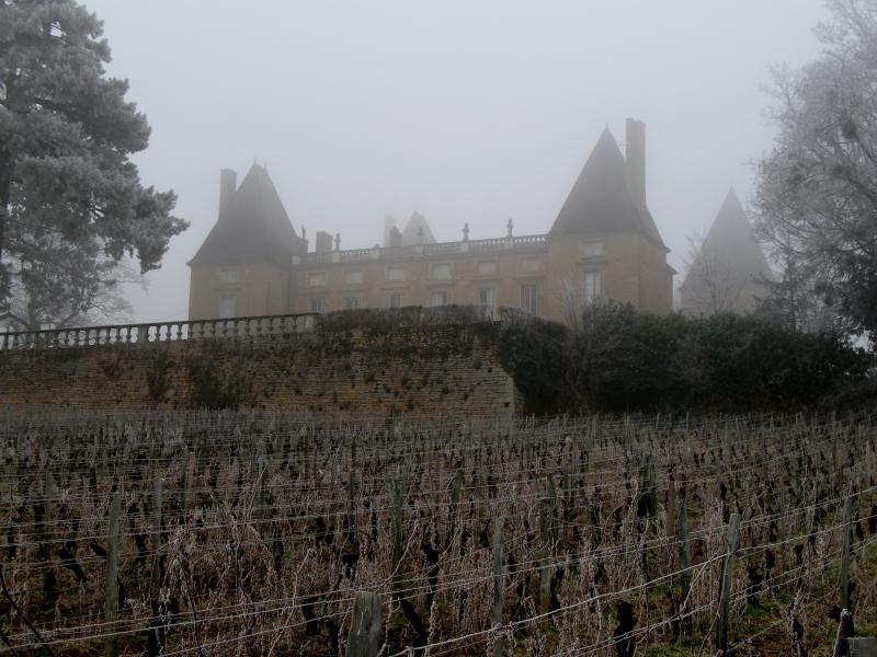Domaine du château de Layé et du Vieux-Château, Vinzelles