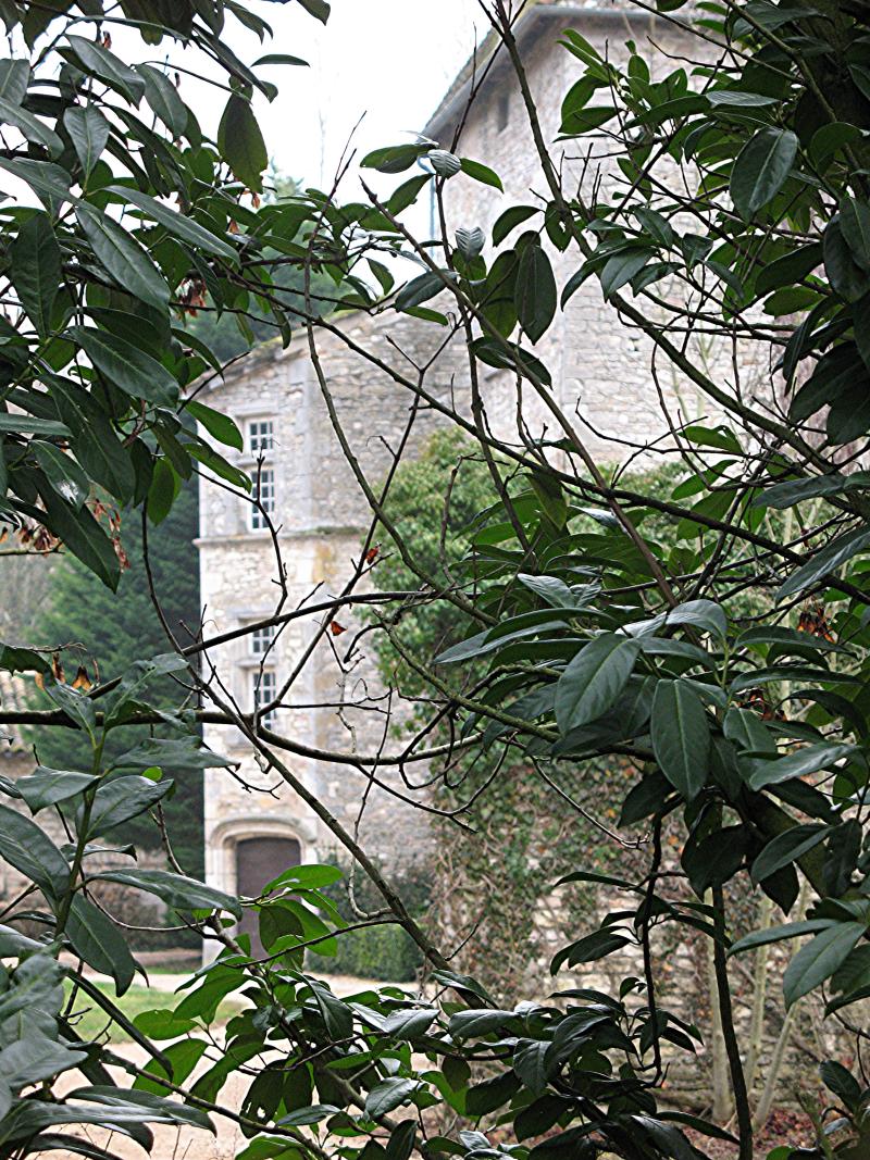 Château de Buffières, Montbellet