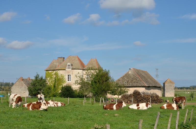 Ferme de la Cour Basse, Lux
