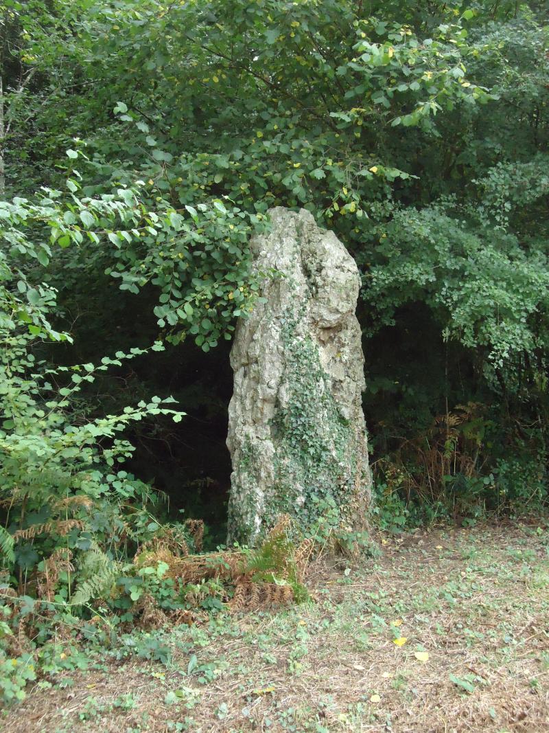 Menhir, Beaumont-Pied-de-Bœuf