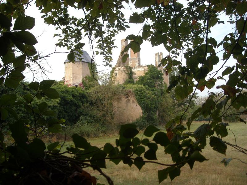 Château de la Buzardière, Changé