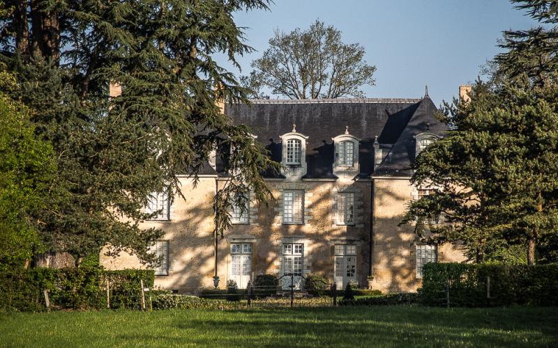 Château des Gringuenières, La Chapelle-d'Aligné