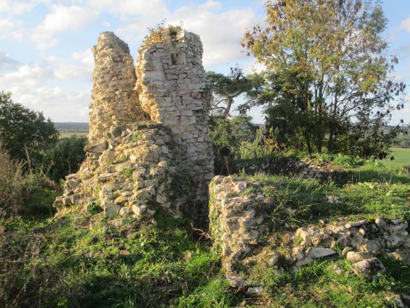 Ensemble castral, Saint-Rémy-du-Val