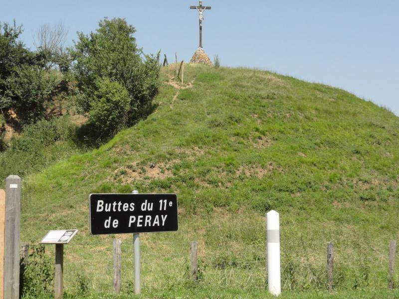 Fortification à motte, Peray