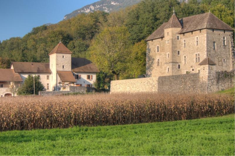 Château de Mécoras, Ruffieux