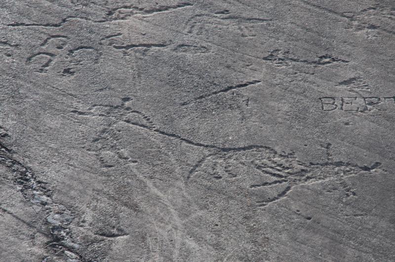 Gravures rupestres, Aussois