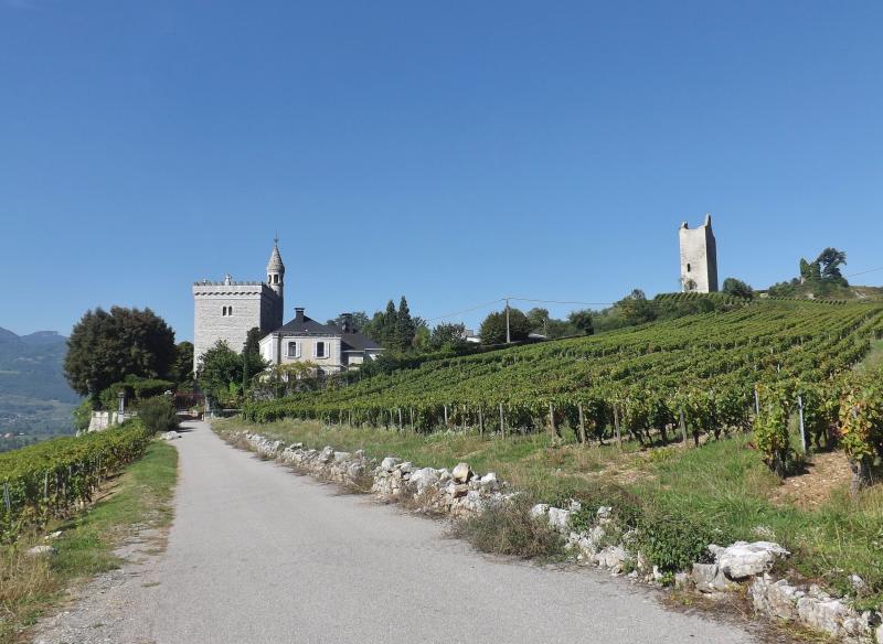 Site archéologique de Chignin, Chignin