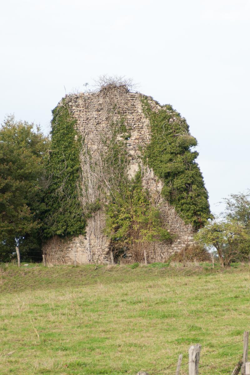 Site de la tour du Draillant, Perrignier