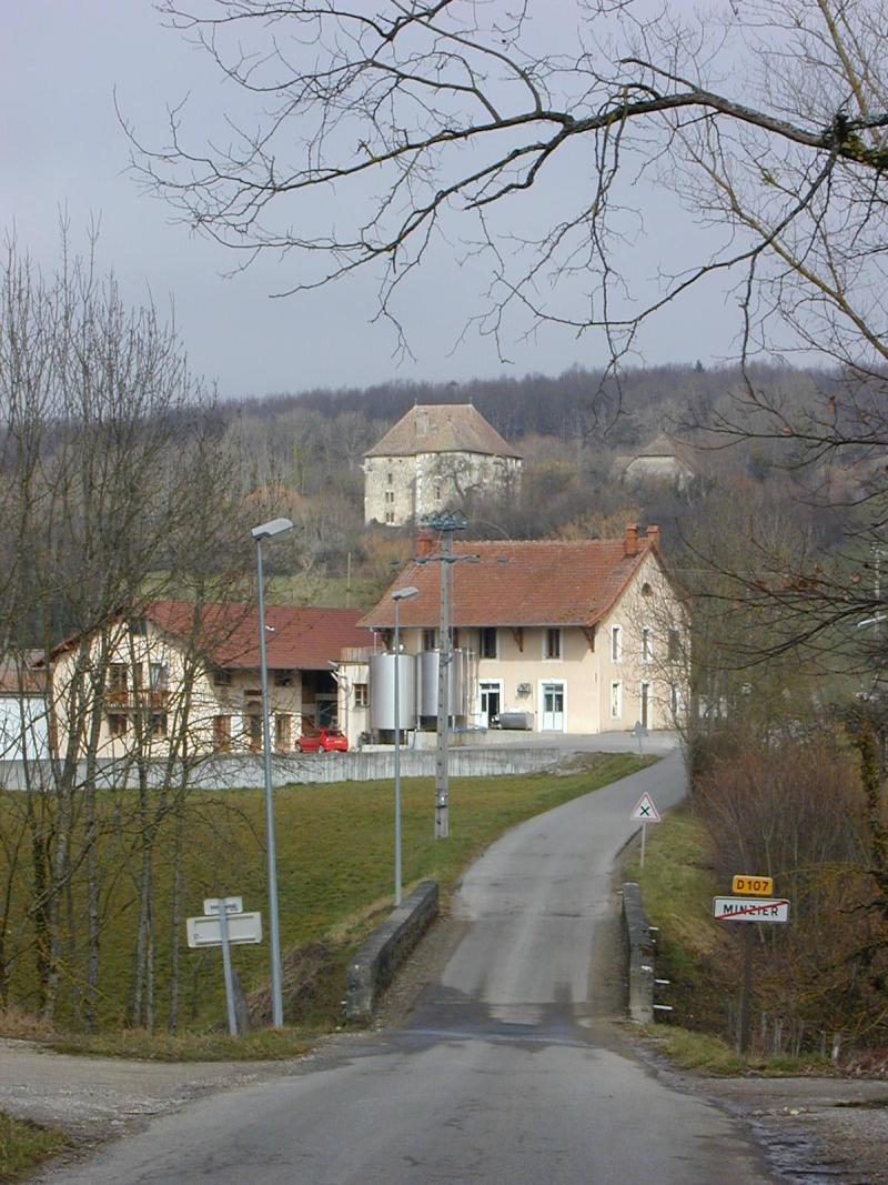 Château de Novéry, Minzier