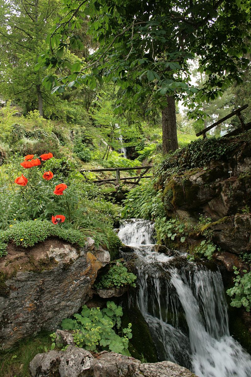 Jardin botanique alpin dit La Jaysinia, Samoëns