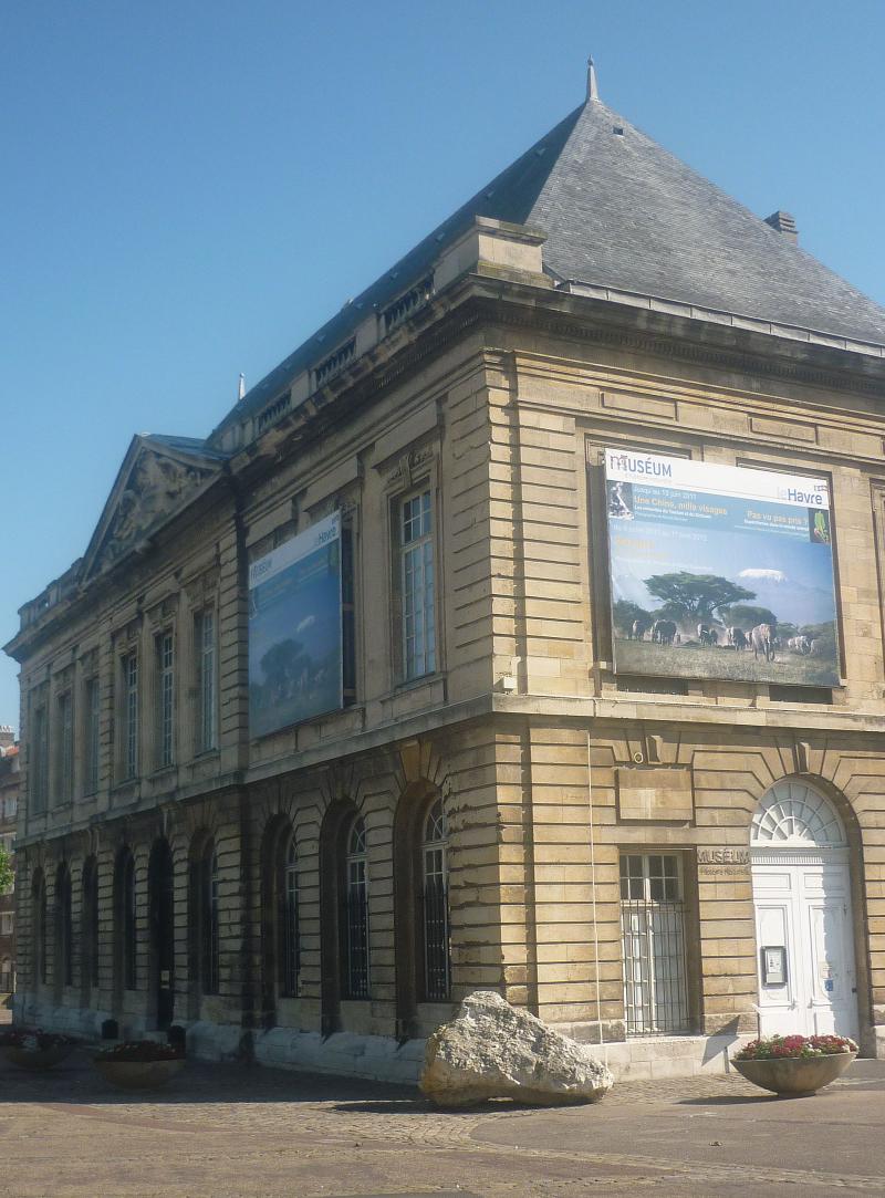 Muséum d'histoire naturelle, Le Havre