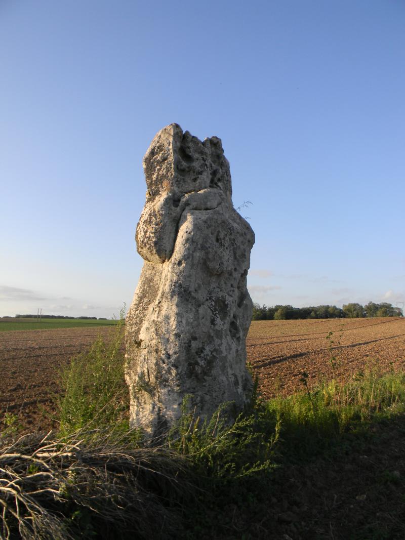 Menhir dit La Pierre Clouée ou Pierrefritte, Nanteau-sur-Lunain